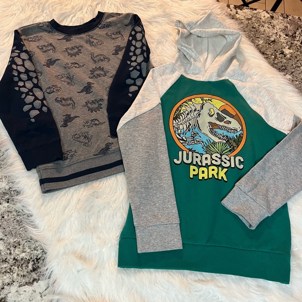 2 dinosaur sweatshirts/hoodie